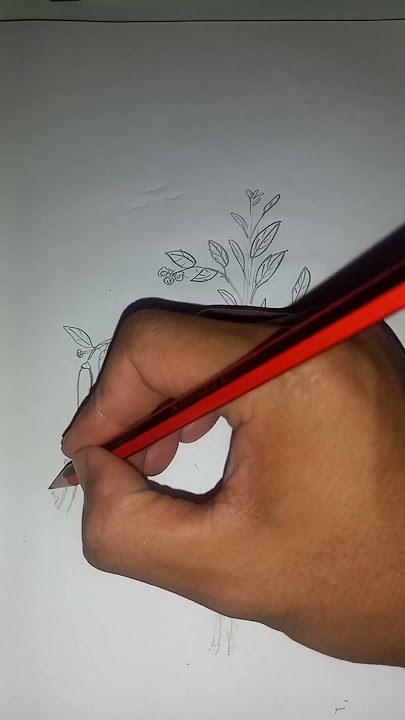 Imagination Drawing Guess The Plant