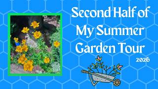 SECOND GARDEN TOUR OF SUMMER 2026 ~ Join Me for a Stroll Through My Backyard