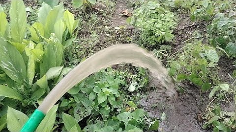 Bơm nước 12v 100w siêu khỏe - chạy điện trực tiếp từ ắc quy 12v. giá 295k. LH 0355066009