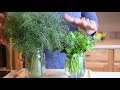 HOW TO STORE FRESH HERBS FOR LATER USE - PARSLEY & DILL