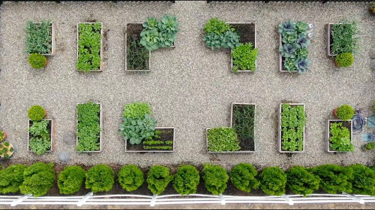 Vegetable Tour with Garden Answer YouTube