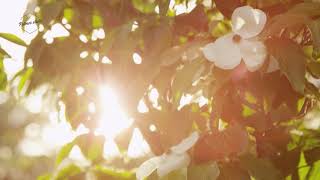 Breaking The Spirit Of Fear