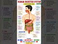 Human digestive system #shorts #ytshorts #youtubeshorts #class10th