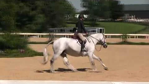 Video of THE NEW YORKER ridden by DEBBIE BASS from...