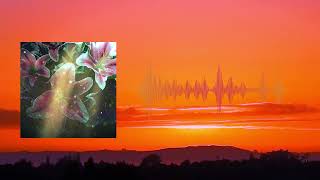 Willoos - De zon tegemoet