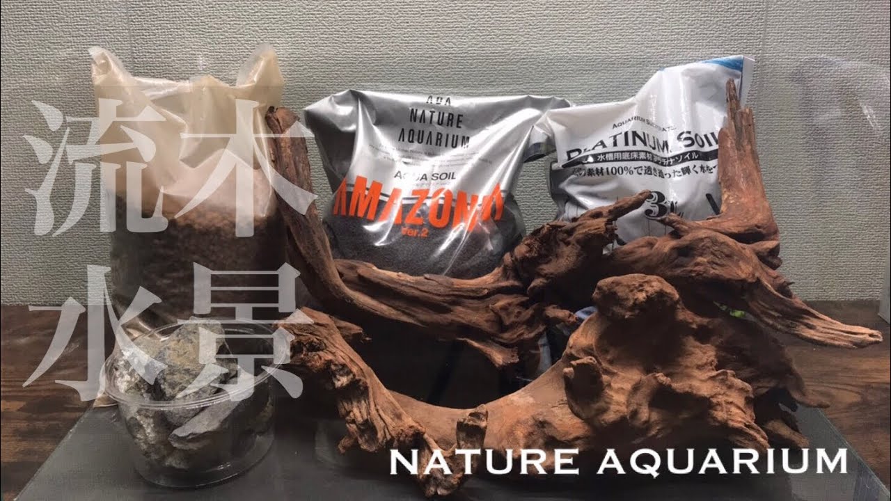 60㎝水槽】流れをイメージした流木レイアウト水槽【aquarium】 - YouTube