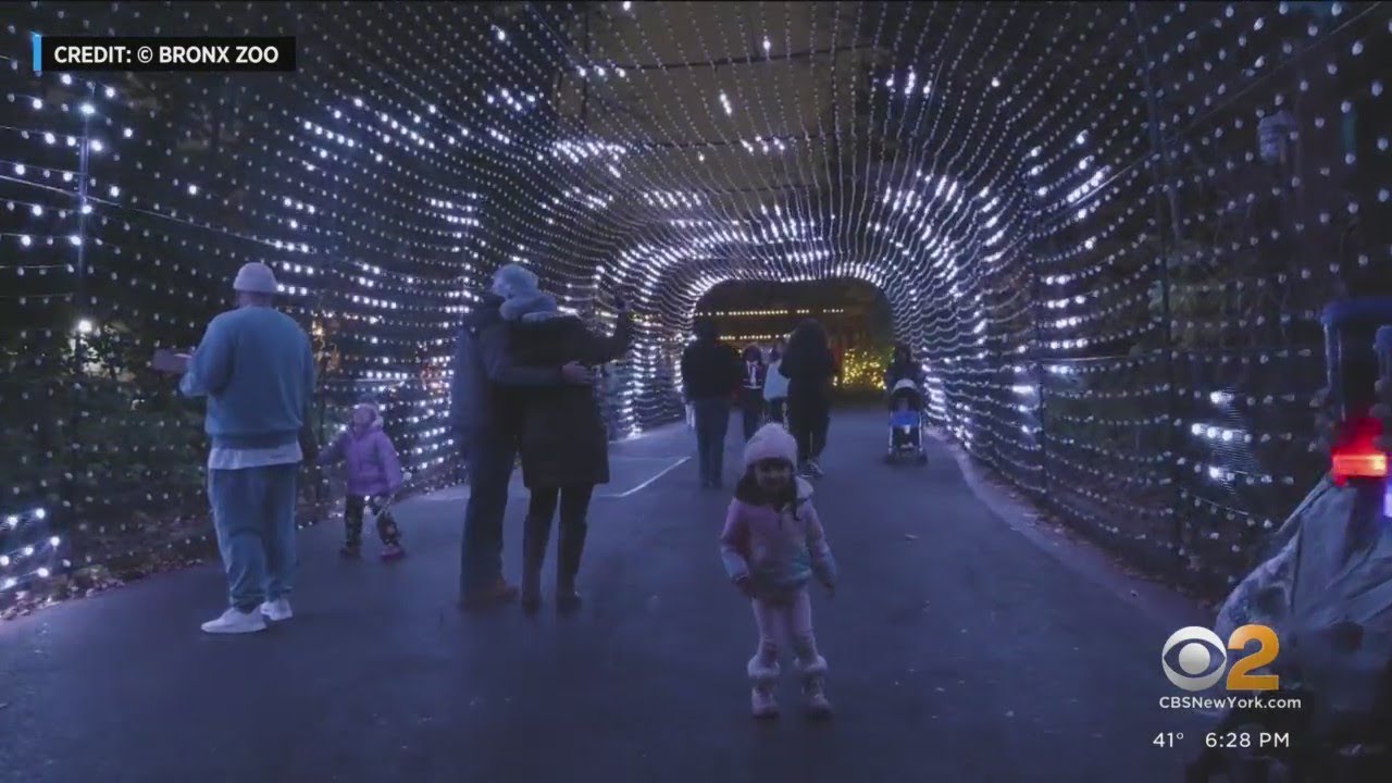 Bronx Zoo's holiday lights outdoor experience is underway