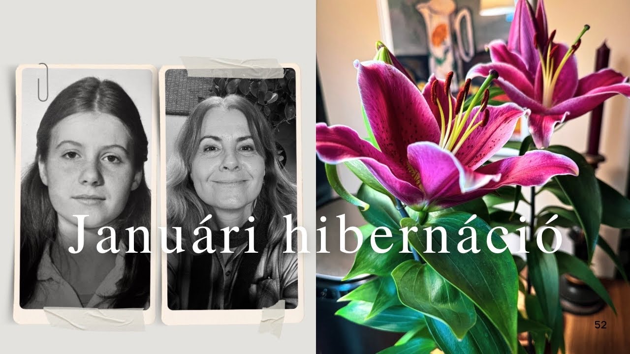 Januári hibernáció | sok duma, család stb.