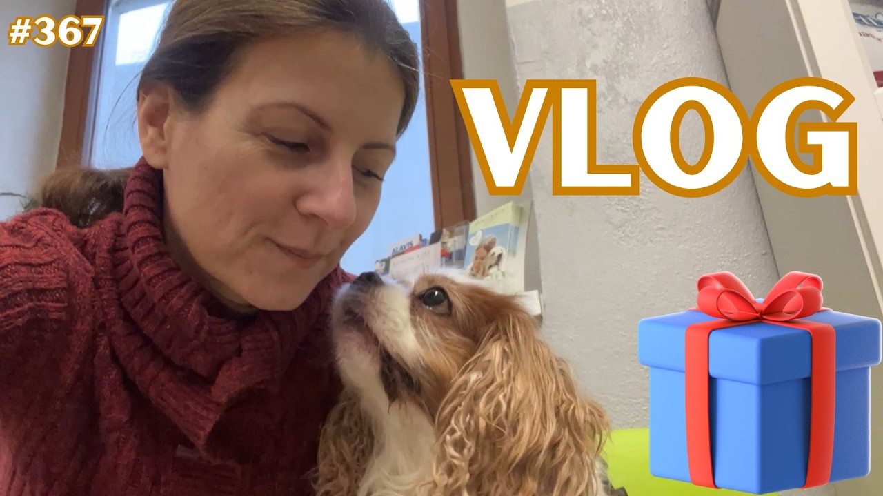 BĚŽNÉ DNY | DÁREK NEJEN PRO LÍLU🐶| ZDRAVÁ CHUŤOVKA K TELEVIZI