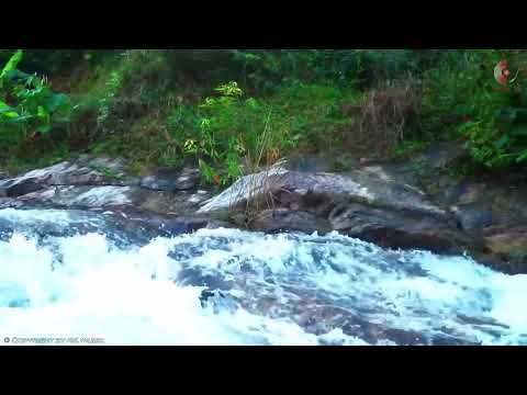 Morning Cafe Music Wake Up Happy With Positive Energy Beautiful Spanish Guitar Music Ever