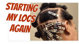 A NEW SET OF LOCS DIY STARTER LOCS SECOND SET