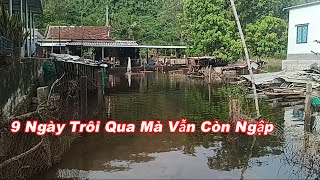 349 Mười Mấy Hộ Bỏ Nhà Đi Trốn Lụt Hôm Nay Mới Quay Lại