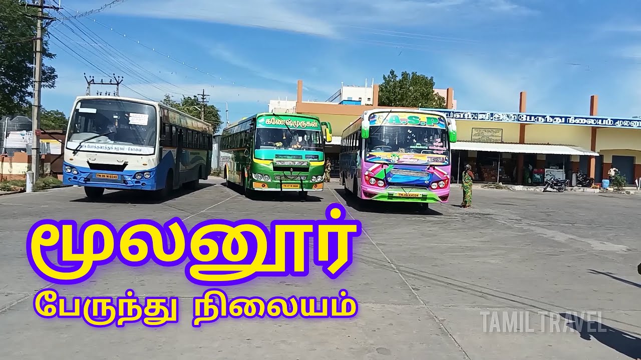 மூலனூர் (02 09 2024) பேருந்து நிலையம் | Mulanur Bus Stand