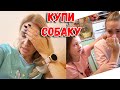 ВЛОГ: ДЕТИ ПРОСЯТ КУПИТЬ СОБАКУ! РЕМОНТ В КВАРТИРЕ, ХОЧУ ВСЁ ВЫБРОСИТЬ!