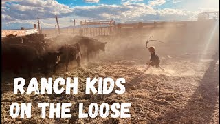 What Happens When Momma’s Gone? Anchor Brand Ranch Kids Unsupervised