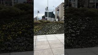 Amazing Infrastructure Japan 🇯🇵