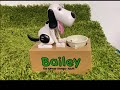 New bailey the money hungry mutt bank with sound