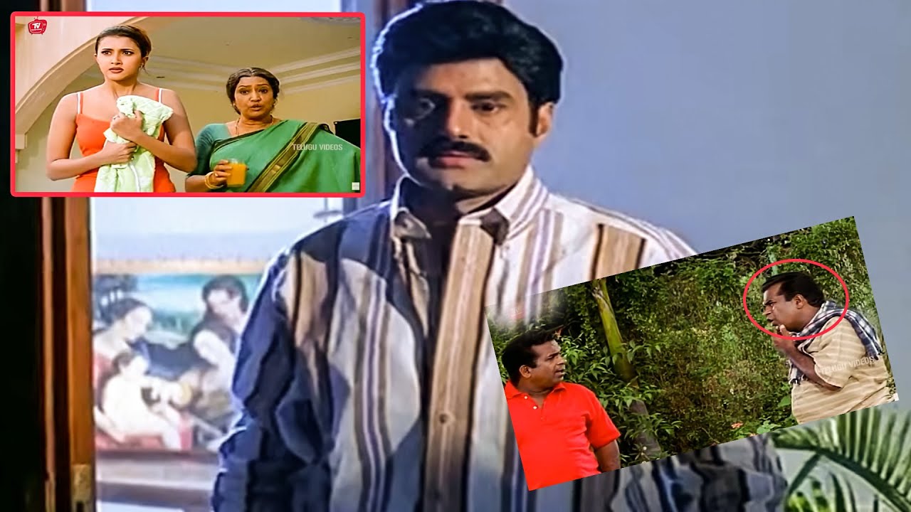 Nandamuri Balakrishna, Sakshi Shivanand, Brahmanandam Super Hit Movie Hilarious Comedy Scene