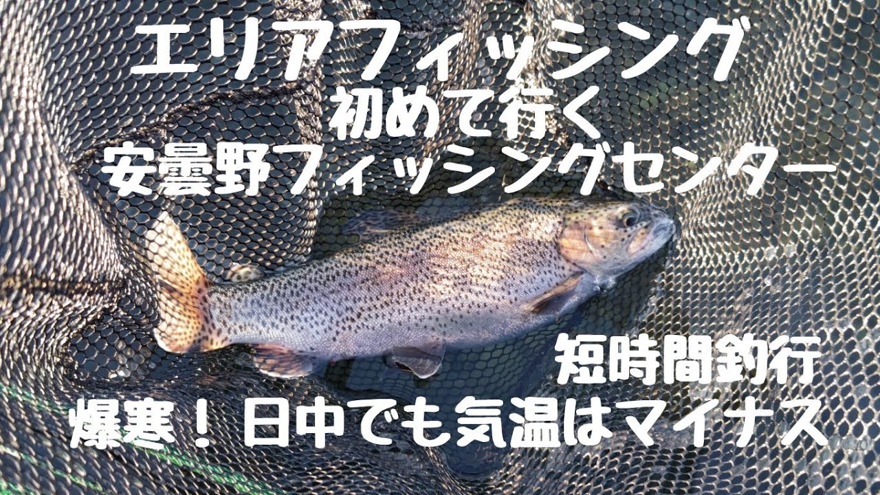 エリアトラウトフィッシング【管理釣り場】初めて行く安曇野フィッシングセンター　