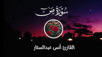 ماتيسر من سورة ص بصوت القارئ أنس عبدالستار