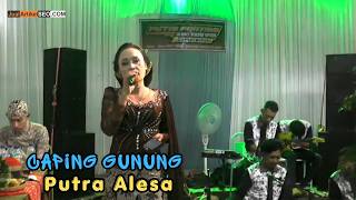 Caping Gunung  Voc Dinda Campursari Putra Alesa
