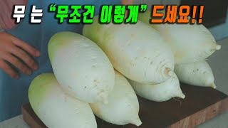 맛있는 제철 무로 일주일 식단 해결하기 👍 무 제발 버리지 마세요~ 강쉪