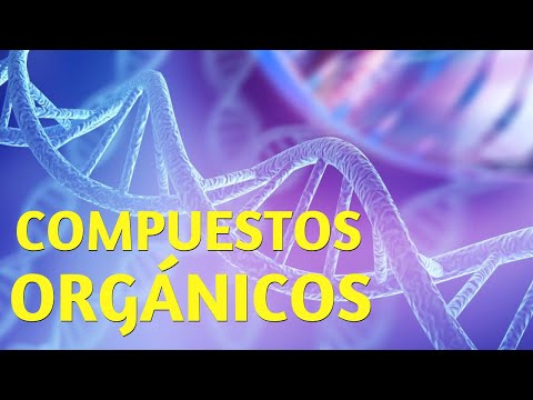 Video: ¿El butano y la glucosa se considerarían compuestos orgánicos?