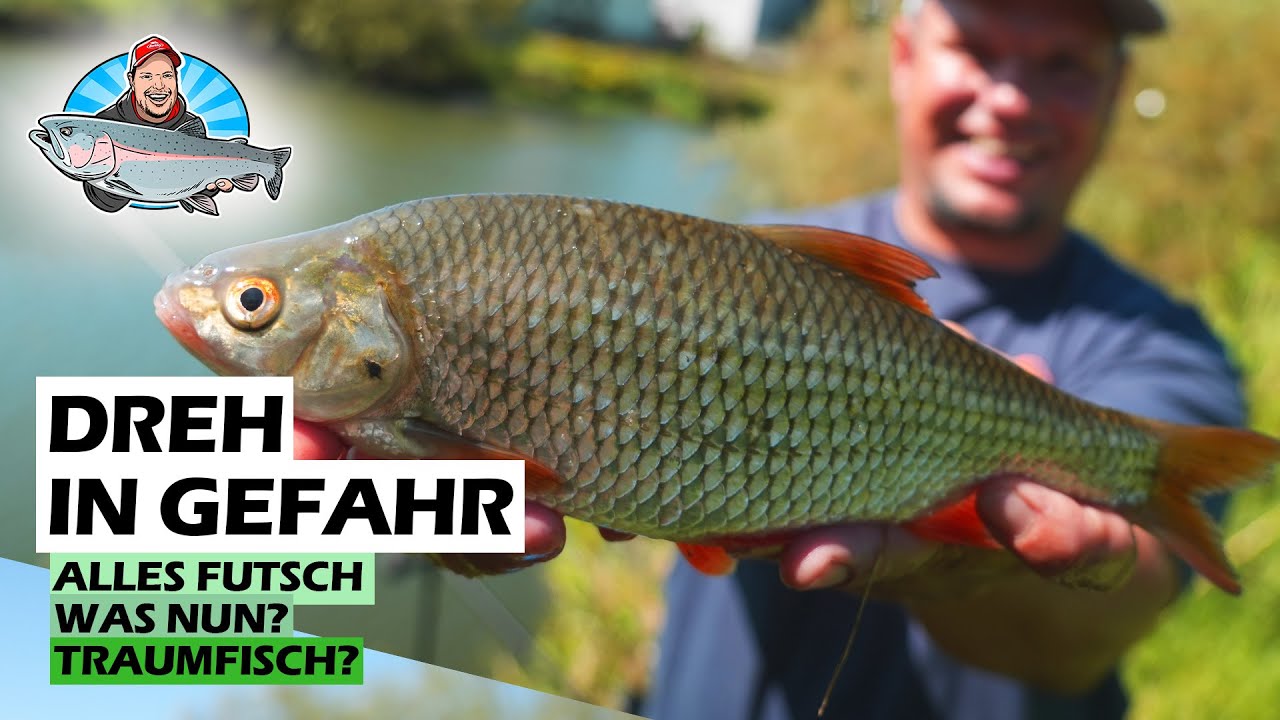 Feedern am Fluss - Diese Methode fängt fast immer! FANG MIT FABI 10