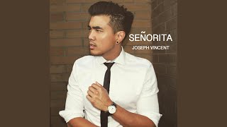 Download Lagu Señorita
