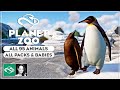 ▶ All 95 animals | Every Planet Zoo pack & all babies |