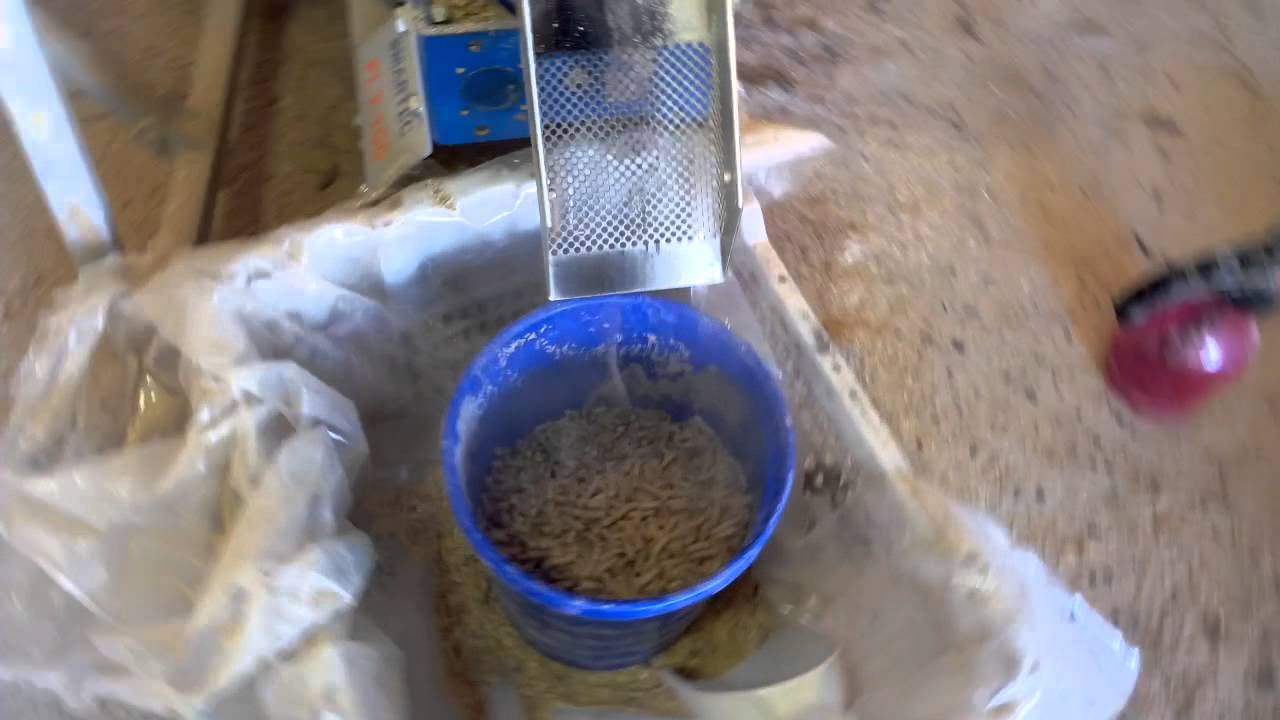 Macchina Per Pellet Fai Da Te