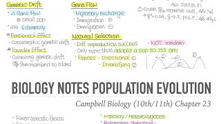 1001 Notes 📒 Ch 23 The Evolution of Population 📝 Campbell Biology (10th/11th) Notes