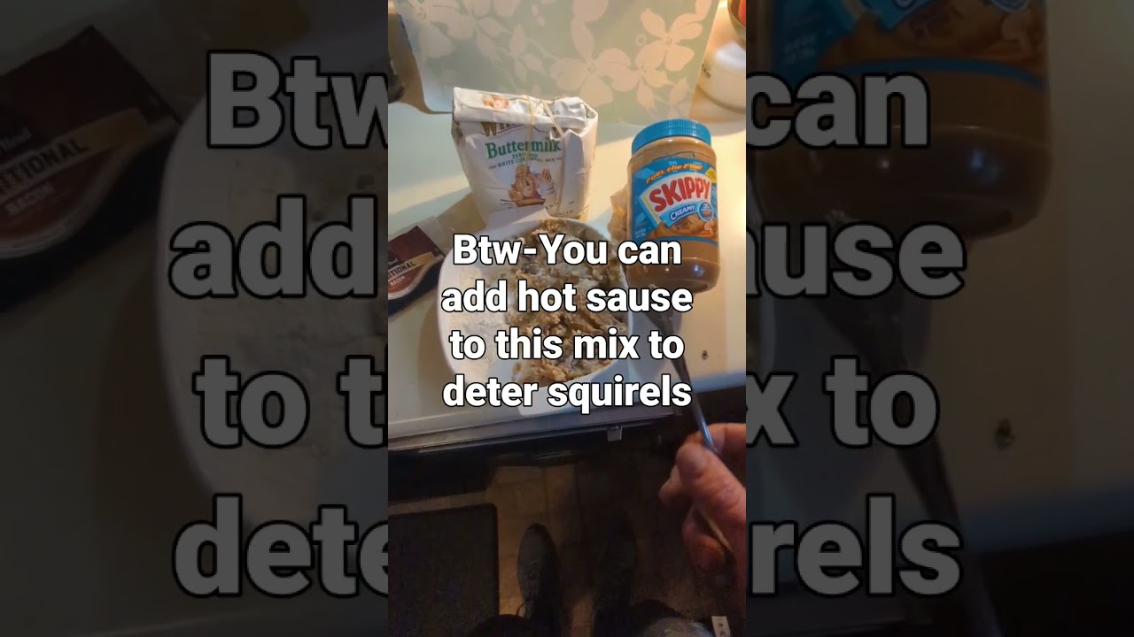DIY Easy Bird Suet or Wild Bird Animal Suet 