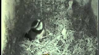 20120321CheckCamera.MP4