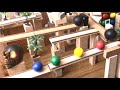 きみは誰?ビースケ達に新しいお友達ができた!