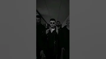 اغنية السبع بصوت الشامي اكسبلور الشامي اغاني ترند Shorts Video لايك اغاني الشامي Music 