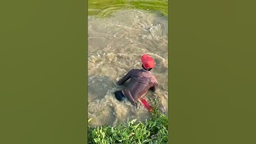 fishing videos with net #fishing #fish #net #fishinglife