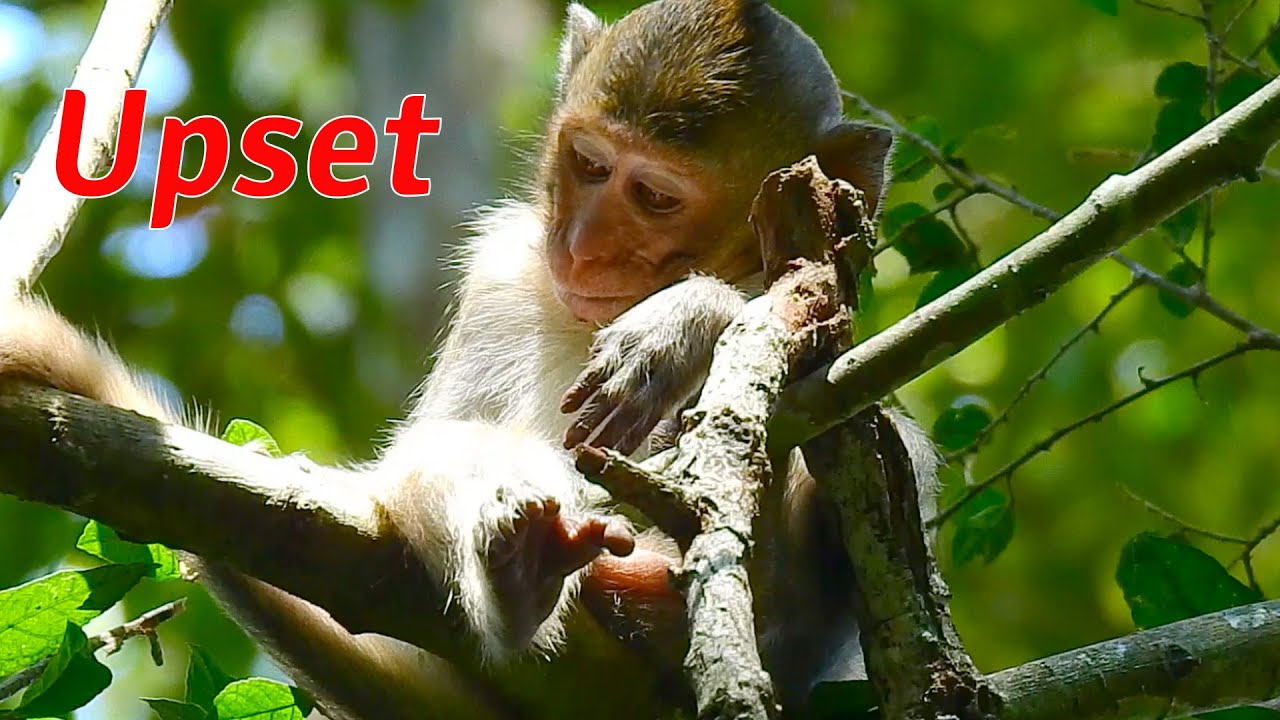 Deep pity poor girl alba upset alone! Alba hurts so much