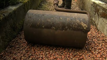 Dig Info: Hazlenut Shells