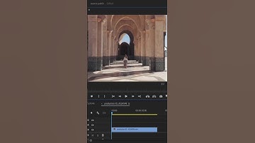 How To Remove text From Video In Premiere Pro