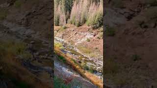 Hiking on the East Eagle trail in the Southern Wallowa mountains on 10/7/2020.