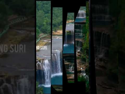 #assamese new video