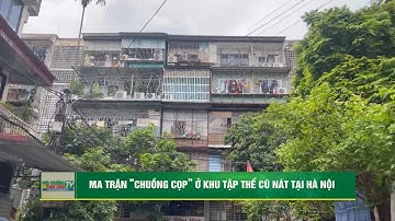 Ma trận “chuồng cọp” ở khu tập thể cũ nát tại Hà Nội