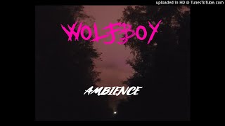 Wolfboy - Cold Blue Sky