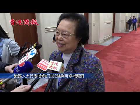 港區人大代表指修訂逃犯條例可修補漏洞