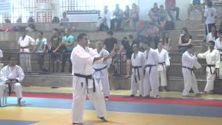 Sensei Rodrigo - Kata Seichin - Copa Sesc 2013