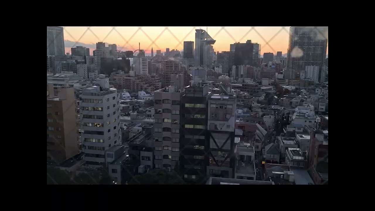 Tokyo University Conference (2025)