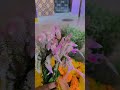 బతుకమ్మ #shorts #ytshorts #dj #song #subscribe