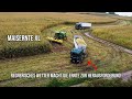 MAISERNTE XL🌽💪 Regnerisches Wetter macht die Ernte zur Herausforderung! || Kloker Agrar