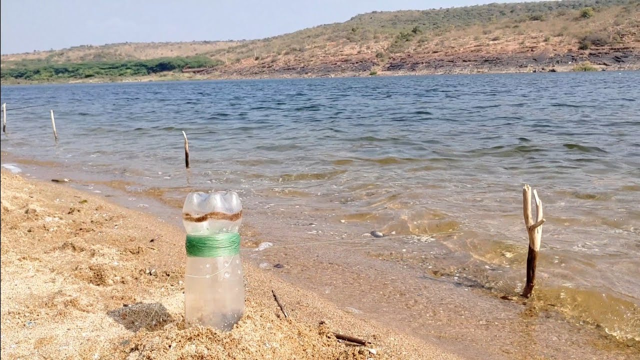 🎣BLACKROHU fishes|catching in krishna river|with guchagal fishing